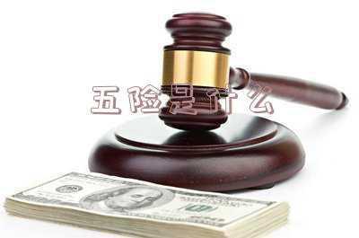 五险是什么时候开始的-交五险一金从哪一年开始