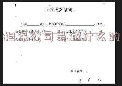 信用担保公司是做什么的;担保公司是做什么的,具体业务?