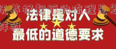 起诉抚养权流程和费用(起诉孩子抚养权的程序是什么)