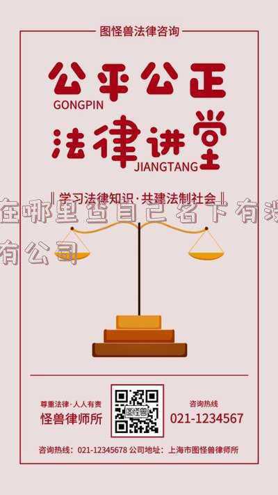怎么查一下自己名下有没有公司(记者跑腿｜身份证丢失后发现被冒用“开公司”？该如何证明“我”不是我)