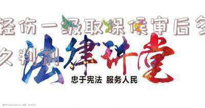 轻伤能取保候审吗(故意伤人致轻伤，逮捕变羁押后申请取保候审希望大吗？)
