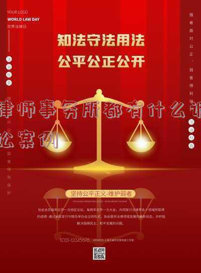 纠纷案件律师(马未都：律师)