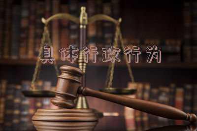 具体行政行为四个特征,行政行为的基本特征及解释~