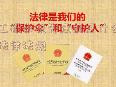 关于建设项目未批先建违法行为适用问题的意见(未批先建满两年不处罚，不等于不问责)