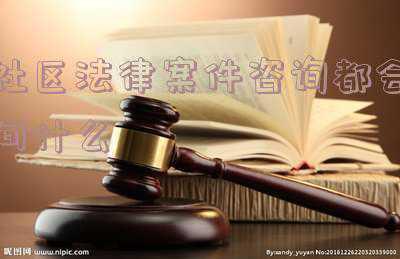 社区法律咨询问题有哪些(【我为群众办实事｜法律进社区】桃园社区开展公益法律咨询服务活动)