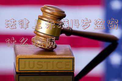 14岁以下盗窃(未成年连续盗窃4家店铺窃得十万余元 警方揪出幕后“大哥”)