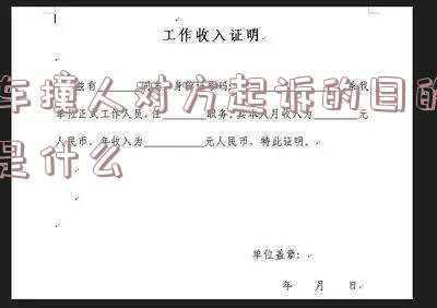 撞人对方起诉我方要做什么(作为被告，如何理智应对突如其来的官司？)