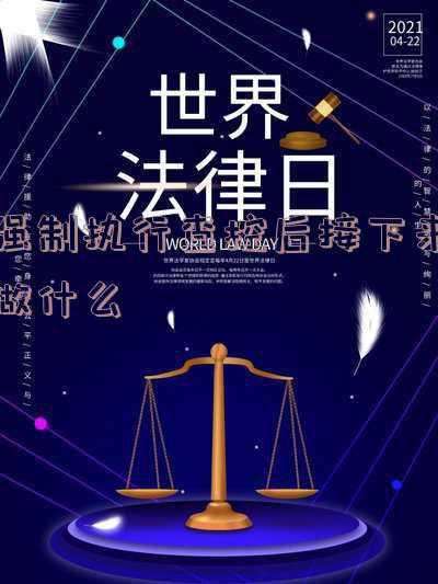 网络执行查控申请书(网络查控申请书范本（财产保全或执行用）)