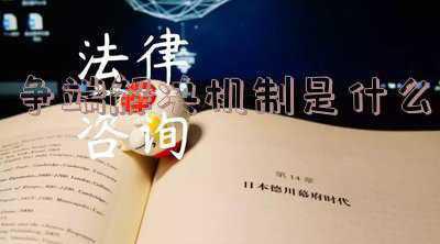 争端解决机制是什么意思(把非诉讼纠纷解决机制挺在前面 推动行政争议多元化解——最高法行政审判庭负责同志就《意见》答记者问)
