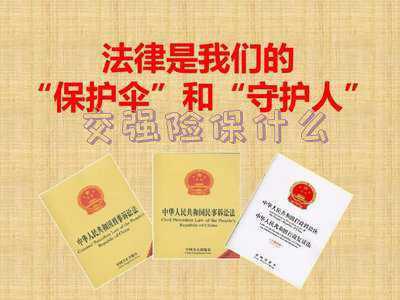 交强险包括的内容都有什么_交强险保障内容