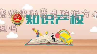 离婚官司律师费是不是输的那方付(起诉离婚被告律师费是多少)
