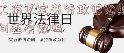 工伤认定不服可以直接行政诉讼吗(对工伤认定不服 行政诉讼可以吗)