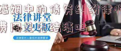 婚姻法 一方债务(夫妻一方个人债务)