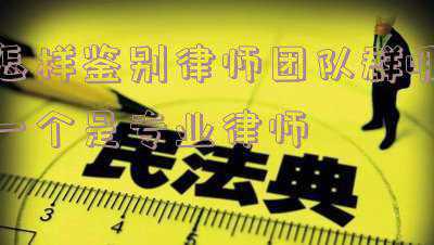 什么叫律师团队(律师团队是“人多力量大”吗)
