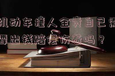 机动车撞人怎么赔偿(交通事故时，汽车撞人，人受伤后怎么要钱，怎么要赔偿)