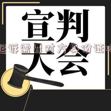去法院起诉需要对方身份证吗(不知道对方的身份证号，能去法院起诉吗？)
