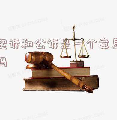 起诉和诉讼是不是一个意思(同为欠款不还为何定性不同)