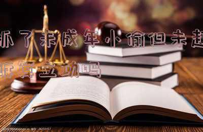 盗窃未成年判多久(江苏两男子教唆未成年人盗窃，一人获刑4年3个月)