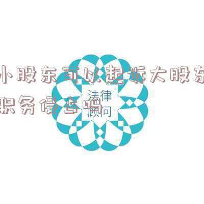 股东职务侵占罪案例(遭合伙人反复控告职务侵占 北海一民企股东被关押400多天后被判无罪)