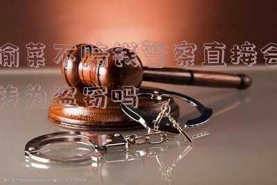 偷菜报警警察会管吗(偷有机蔬菜200斤，被判拘役五个月)