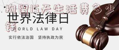 拘留15天生活费多少钱要带什么(负债被拘留后再怎么处理)
