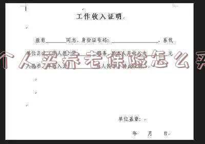个人买养老保险怎么买(个人如何买养老保险)