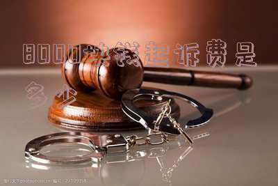12000起诉费多少钱(“学费一年3万多，娃儿吃不饱…”家长网上吐槽被幼儿园告上法庭 法院判了)