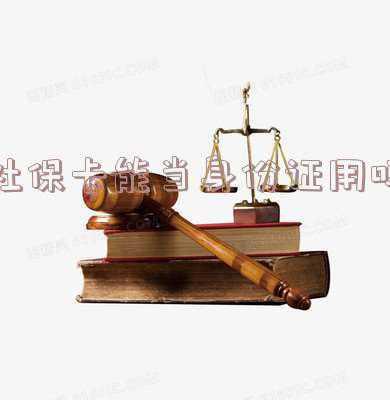 新一代社保卡能当身份证用吗-新社保卡可以当身份证