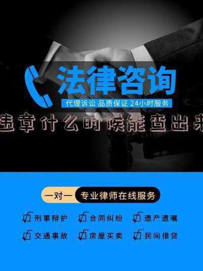 车辆违章后几天能查到?-今天的违章什么时候能查出来