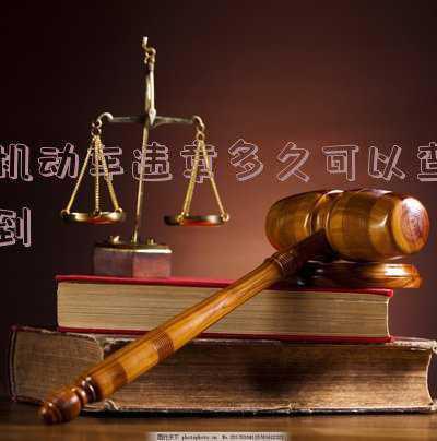 车辆违章一般多长时间能查到?-机动车违章一般多久可以查到
