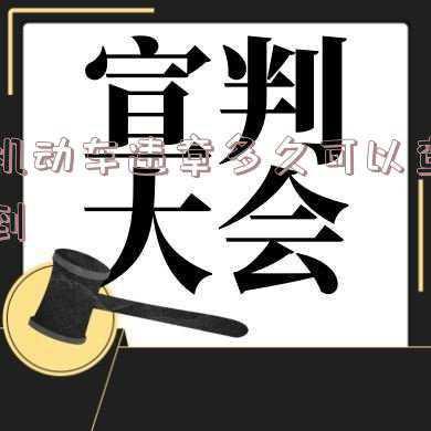 车辆违章几天后可以查出来?(机动车违章查询多久可以查出)