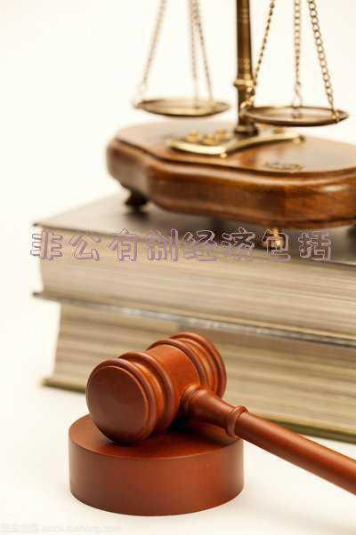 非公有制经济包括哪些;非公有制经济包括哪些形式