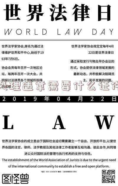 电子眼拍到的违章,用别人的驾照去处理要拿什么东西,-用别人驾驶证处理违章需要什么证件