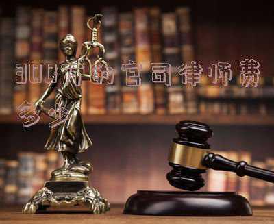 打官司律师费(肖胜方代表：建议律师费都由败诉方承担)
