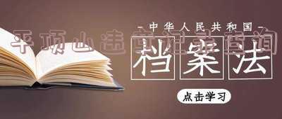 平顶山交警队违章查询-平顶山交警队违章查询电话