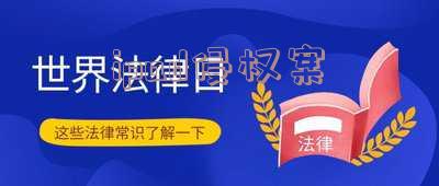 ipad侵权案