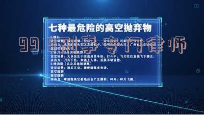 999刑事专门律师网盘