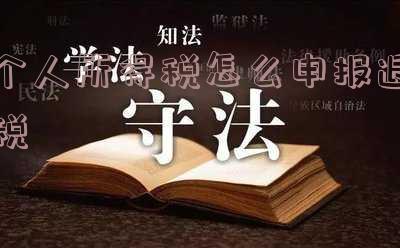 个人所得税怎么申报退税能退多少 个人所得税怎么申报退税能退多少钱