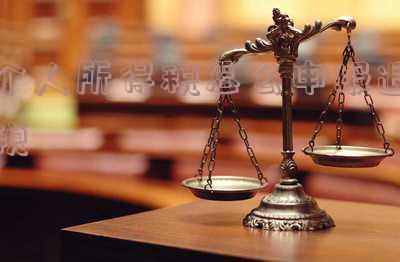 个人所得税怎么申报退税