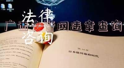 广西交警网违章查询