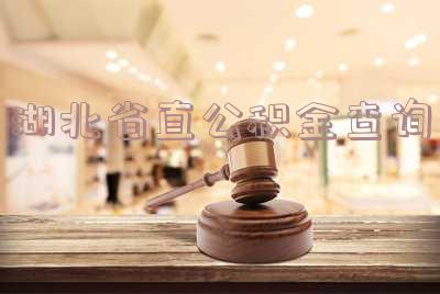 湖北省直公积金查询个人账户-湖北省直公积金查询个人账户明细