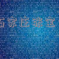 石家庄张宝义张宝林,石家庄张宝林和张宝义