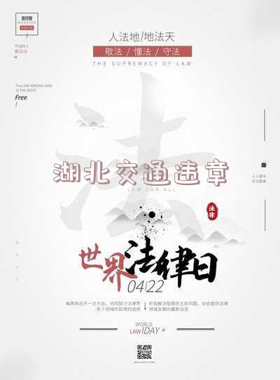 湖北交通违章随手拍,湖北随手拍违章奖励多少
