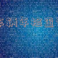 车辆年检查询