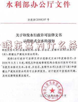 于晓东个人资料「于晓东个人资料简介」