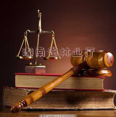 湖南省林业厅官网 湖南省林业厅官网查询