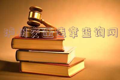 泸州交通违章查询网站,泸州交通违章查询官方网站