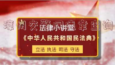 漳州交警网违章查询