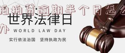 拍拍贷逾期了几天还上后,还可以再贷款吗,拍拍贷逾期了几天还上后,还可以再贷款吗