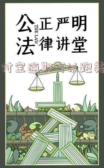 支付宝逾期能当滴滴司机吗-支付宝逾期能当滴滴司机吗知乎